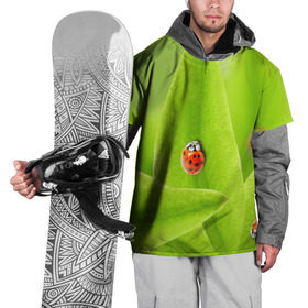 Накидка на куртку 3D с принтом Жучки на травке в Новосибирске, 100% полиэстер |  | Тематика изображения на принте: жук | зеленый | зелень | красный | насекомые | природа