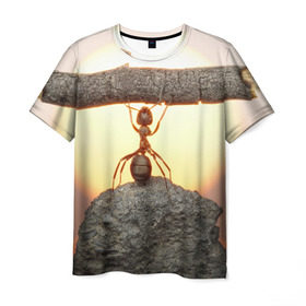 Мужская футболка 3D с принтом Муравей в Новосибирске, 100% полиэфир | прямой крой, круглый вырез горловины, длина до линии бедер | ветка | жук | закат | камень | муравей | насекомые | природа
