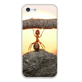 Чехол для iPhone 5/5S матовый с принтом Муравей в Новосибирске, Силикон | Область печати: задняя сторона чехла, без боковых панелей | Тематика изображения на принте: ветка | жук | закат | камень | муравей | насекомые | природа