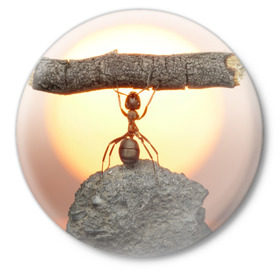 Значок с принтом Муравей в Новосибирске,  металл | круглая форма, металлическая застежка в виде булавки | Тематика изображения на принте: ветка | жук | закат | камень | муравей | насекомые | природа