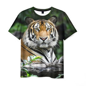 Мужская футболка 3D с принтом Тигр в джунглях в Новосибирске, 100% полиэфир | прямой крой, круглый вырез горловины, длина до линии бедер | Тематика изображения на принте: амурский | животные | зверь | киса | кот | котенок | кошка | тигр | хищник