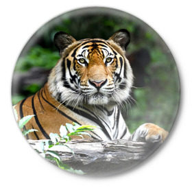 Значок с принтом Тигр в джунглях в Новосибирске,  металл | круглая форма, металлическая застежка в виде булавки | Тематика изображения на принте: амурский | животные | зверь | киса | кот | котенок | кошка | тигр | хищник