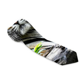 Галстук 3D с принтом Тигр в джунглях в Новосибирске, 100% полиэстер | Длина 148 см; Плотность 150-180 г/м2 | амурский | животные | зверь | киса | кот | котенок | кошка | тигр | хищник