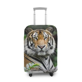 Чехол для чемодана 3D с принтом Тигр в джунглях в Новосибирске, 86% полиэфир, 14% спандекс | двустороннее нанесение принта, прорези для ручек и колес | амурский | животные | зверь | киса | кот | котенок | кошка | тигр | хищник