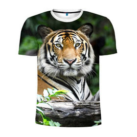 Мужская футболка 3D спортивная с принтом Тигр в джунглях в Новосибирске, 100% полиэстер с улучшенными характеристиками | приталенный силуэт, круглая горловина, широкие плечи, сужается к линии бедра | Тематика изображения на принте: амурский | животные | зверь | киса | кот | котенок | кошка | тигр | хищник