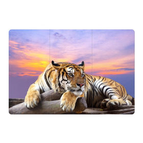 Магнитный плакат 3Х2 с принтом Тигр в Новосибирске, Полимерный материал с магнитным слоем | 6 деталей размером 9*9 см | амурский | животные | зверь | киса | кот | котенок | кошка | тигр | хищник