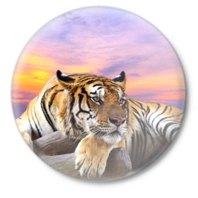Значок с принтом Тигр в Новосибирске,  металл | круглая форма, металлическая застежка в виде булавки | Тематика изображения на принте: амурский | животные | зверь | киса | кот | котенок | кошка | тигр | хищник