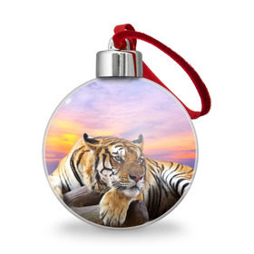 Ёлочный шар с принтом Тигр в Новосибирске, Пластик | Диаметр: 77 мм | амурский | животные | зверь | киса | кот | котенок | кошка | тигр | хищник