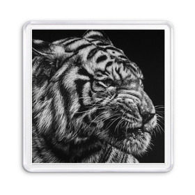 Магнит 55*55 с принтом Тигр в Новосибирске, Пластик | Размер: 65*65 мм; Размер печати: 55*55 мм | амурский | животные | зверь | киса | кот | котенок | кошка | серый | тигр | тигренок | хищник