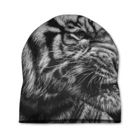 Шапка 3D с принтом Тигр в Новосибирске, 100% полиэстер | универсальный размер, печать по всей поверхности изделия | амурский | животные | зверь | киса | кот | котенок | кошка | серый | тигр | тигренок | хищник