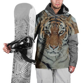 Накидка на куртку 3D с принтом Тигр в Новосибирске, 100% полиэстер |  | амурский | животные | зверь | киса | кот | котенок | кошка | тигр | хищник