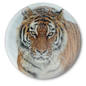 Значок с принтом Тигр в Новосибирске,  металл | круглая форма, металлическая застежка в виде булавки | Тематика изображения на принте: амурский | животные | зверь | киса | кот | котенок | кошка | тигр | хищник