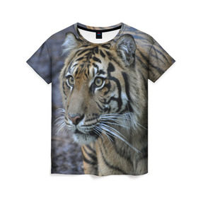 Женская футболка 3D с принтом Тигр в Новосибирске, 100% полиэфир ( синтетическое хлопкоподобное полотно) | прямой крой, круглый вырез горловины, длина до линии бедер | Тематика изображения на принте: амурский | животные | зверь | киса | кот | котенок | кошка | тигр | хищник
