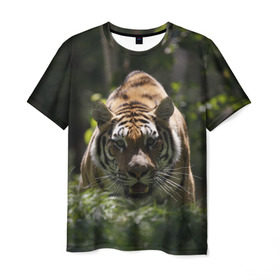 Мужская футболка 3D с принтом Тигр в Новосибирске, 100% полиэфир | прямой крой, круглый вырез горловины, длина до линии бедер | амурский | животные | зверь | киса | кот | котенок | кошка | тигр | хищник