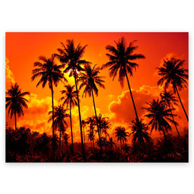 Поздравительная открытка с принтом Таиланд в Новосибирске, 100% бумага | плотность бумаги 280 г/м2, матовая, на обратной стороне линовка и место для марки
 | Тематика изображения на принте: clouds | nature | palms | sky | sunset | thailand | tourism | закат | небо | облака | пальмы | природа | таиланд | туризм