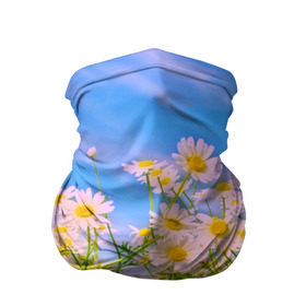 Бандана-труба 3D с принтом Ромашка в Новосибирске, 100% полиэстер, ткань с особыми свойствами — Activecool | плотность 150‒180 г/м2; хорошо тянется, но сохраняет форму | flower | лето | полевой цветок | цветочки | цветы
