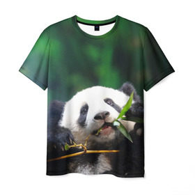 Мужская футболка 3D с принтом Панда на ветке в Новосибирске, 100% полиэфир | прямой крой, круглый вырез горловины, длина до линии бедер | Тематика изображения на принте: животные | лес | медведь | медвежонок | панда | природа