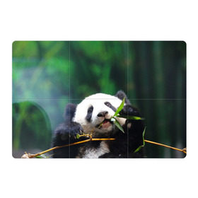 Магнитный плакат 3Х2 с принтом Панда на ветке в Новосибирске, Полимерный материал с магнитным слоем | 6 деталей размером 9*9 см | животные | лес | медведь | медвежонок | панда | природа