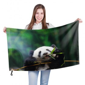 Флаг 3D с принтом Панда на ветке в Новосибирске, 100% полиэстер | плотность ткани — 95 г/м2, размер — 67 х 109 см. Принт наносится с одной стороны | животные | лес | медведь | медвежонок | панда | природа