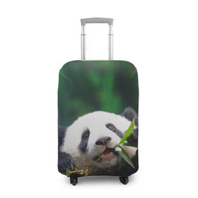 Чехол для чемодана 3D с принтом Панда на ветке в Новосибирске, 86% полиэфир, 14% спандекс | двустороннее нанесение принта, прорези для ручек и колес | животные | лес | медведь | медвежонок | панда | природа