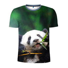 Мужская футболка 3D спортивная с принтом Панда на ветке в Новосибирске, 100% полиэстер с улучшенными характеристиками | приталенный силуэт, круглая горловина, широкие плечи, сужается к линии бедра | животные | лес | медведь | медвежонок | панда | природа