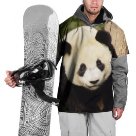 Накидка на куртку 3D с принтом Панда на дереве в Новосибирске, 100% полиэстер |  | Тематика изображения на принте: животные | лес | медведь | медвежонок | панда | природа