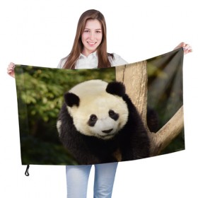 Флаг 3D с принтом Панда на дереве в Новосибирске, 100% полиэстер | плотность ткани — 95 г/м2, размер — 67 х 109 см. Принт наносится с одной стороны | животные | лес | медведь | медвежонок | панда | природа