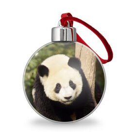 Ёлочный шар с принтом Панда на дереве в Новосибирске, Пластик | Диаметр: 77 мм | Тематика изображения на принте: животные | лес | медведь | медвежонок | панда | природа
