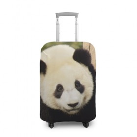 Чехол для чемодана 3D с принтом Панда на дереве в Новосибирске, 86% полиэфир, 14% спандекс | двустороннее нанесение принта, прорези для ручек и колес | животные | лес | медведь | медвежонок | панда | природа