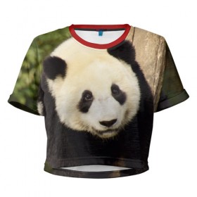 Женская футболка 3D укороченная с принтом Панда на дереве в Новосибирске, 100% полиэстер | круглая горловина, длина футболки до линии талии, рукава с отворотами | животные | лес | медведь | медвежонок | панда | природа