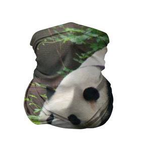 Бандана-труба 3D с принтом Панда в лесу в Новосибирске, 100% полиэстер, ткань с особыми свойствами — Activecool | плотность 150‒180 г/м2; хорошо тянется, но сохраняет форму | животные | лес | медведь | медвежонок | панда | природа