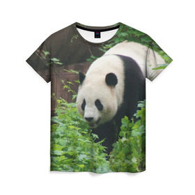 Женская футболка 3D с принтом Панда в лесу в Новосибирске, 100% полиэфир ( синтетическое хлопкоподобное полотно) | прямой крой, круглый вырез горловины, длина до линии бедер | животные | лес | медведь | медвежонок | панда | природа