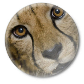 Значок с принтом Гепард в Новосибирске,  металл | круглая форма, металлическая застежка в виде булавки | амурский | гепард | животные | зверь | киса | кот | котенок | кошка | лев | леопард | пума | рысь | серый | тигр | тигренок | хищник