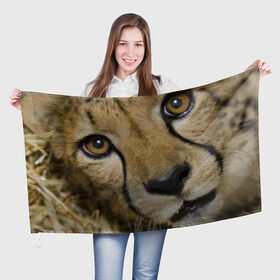 Флаг 3D с принтом Гепард в Новосибирске, 100% полиэстер | плотность ткани — 95 г/м2, размер — 67 х 109 см. Принт наносится с одной стороны | амурский | гепард | животные | зверь | киса | кот | котенок | кошка | лев | леопард | пума | рысь | серый | тигр | тигренок | хищник