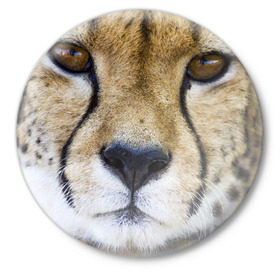 Значок с принтом Гепард в Новосибирске,  металл | круглая форма, металлическая застежка в виде булавки | амурский | гепард | животные | зверь | киса | кот | котенок | кошка | лев | леопард | пума | рысь | серый | тигр | тигренок | хищник