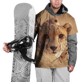 Накидка на куртку 3D с принтом Гепард в Новосибирске, 100% полиэстер |  | амурский | гепард | животные | зверь | киса | кот | котенок | кошка | лев | леопард | пума | рысь | серый | тигр | тигренок | хищник