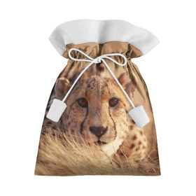 Подарочный 3D мешок с принтом Гепард в Новосибирске, 100% полиэстер | Размер: 29*39 см | Тематика изображения на принте: амурский | гепард | животные | зверь | киса | кот | котенок | кошка | лев | леопард | пума | рысь | серый | тигр | тигренок | хищник