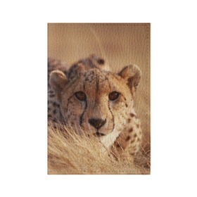 Обложка для паспорта матовая кожа с принтом Гепард в Новосибирске, натуральная матовая кожа | размер 19,3 х 13,7 см; прозрачные пластиковые крепления | Тематика изображения на принте: амурский | гепард | животные | зверь | киса | кот | котенок | кошка | лев | леопард | пума | рысь | серый | тигр | тигренок | хищник