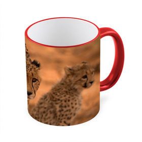 Кружка 3D с принтом Гепард в Новосибирске, керамика | ёмкость 330 мл | амурский | гепард | животные | зверь | киса | кот | котенок | кошка | лев | леопард | пума | рысь | серый | тигр | тигренок | хищник