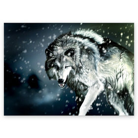 Поздравительная открытка с принтом Волк в Новосибирске, 100% бумага | плотность бумаги 280 г/м2, матовая, на обратной стороне линовка и место для марки
 | Тематика изображения на принте: animal | art | night | painting | predator | snow | view | winter | wolf | взгляд | волк | животное | зима | искусство | картина | ночь | снег | хищник