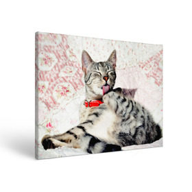Холст прямоугольный с принтом Кошка в Новосибирске, 100% ПВХ |  | cat | collar | heel | licking | lying | red | striped | кошка | красный | лежит | лижет | ошейник | полосатая | пятка