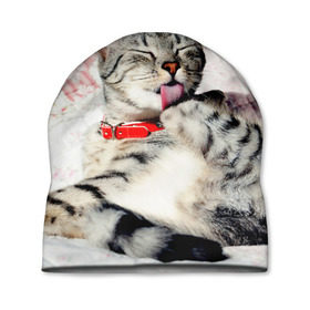 Шапка 3D с принтом Кошка в Новосибирске, 100% полиэстер | универсальный размер, печать по всей поверхности изделия | Тематика изображения на принте: cat | collar | heel | licking | lying | red | striped | кошка | красный | лежит | лижет | ошейник | полосатая | пятка