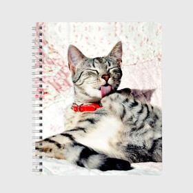 Тетрадь с принтом Кошка в Новосибирске, 100% бумага | 48 листов, плотность листов — 60 г/м2, плотность картонной обложки — 250 г/м2. Листы скреплены сбоку удобной пружинной спиралью. Уголки страниц и обложки скругленные. Цвет линий — светло-серый
 | cat | collar | heel | licking | lying | red | striped | кошка | красный | лежит | лижет | ошейник | полосатая | пятка