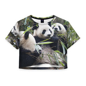 Женская футболка 3D укороченная с принтом Семейка панд в Новосибирске, 100% полиэстер | круглая горловина, длина футболки до линии талии, рукава с отворотами | бамбук | животное | зверь | косолапый | лес | медведи | медведь | миша | мишка | мишутка | млекопитающее | панда | природа | трое