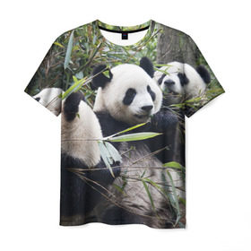 Мужская футболка 3D с принтом Семейка панд в Новосибирске, 100% полиэфир | прямой крой, круглый вырез горловины, длина до линии бедер | бамбук | животное | зверь | косолапый | лес | медведи | медведь | миша | мишка | мишутка | млекопитающее | панда | природа | трое