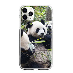 Чехол для iPhone 11 Pro матовый с принтом Семейка панд в Новосибирске, Силикон |  | Тематика изображения на принте: бамбук | животное | зверь | косолапый | лес | медведи | медведь | миша | мишка | мишутка | млекопитающее | панда | природа | трое