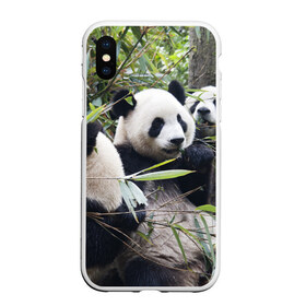 Чехол для iPhone XS Max матовый с принтом Семейка панд в Новосибирске, Силикон | Область печати: задняя сторона чехла, без боковых панелей | Тематика изображения на принте: бамбук | животное | зверь | косолапый | лес | медведи | медведь | миша | мишка | мишутка | млекопитающее | панда | природа | трое