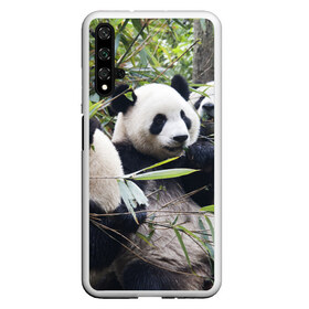 Чехол для Honor 20 с принтом Семейка панд в Новосибирске, Силикон | Область печати: задняя сторона чехла, без боковых панелей | Тематика изображения на принте: бамбук | животное | зверь | косолапый | лес | медведи | медведь | миша | мишка | мишутка | млекопитающее | панда | природа | трое