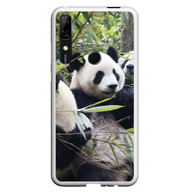 Чехол для Honor P Smart Z с принтом Семейка панд в Новосибирске, Силикон | Область печати: задняя сторона чехла, без боковых панелей | Тематика изображения на принте: бамбук | животное | зверь | косолапый | лес | медведи | медведь | миша | мишка | мишутка | млекопитающее | панда | природа | трое