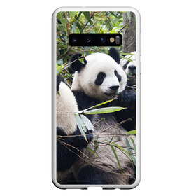 Чехол для Samsung Galaxy S10 с принтом Семейка панд в Новосибирске, Силикон | Область печати: задняя сторона чехла, без боковых панелей | бамбук | животное | зверь | косолапый | лес | медведи | медведь | миша | мишка | мишутка | млекопитающее | панда | природа | трое